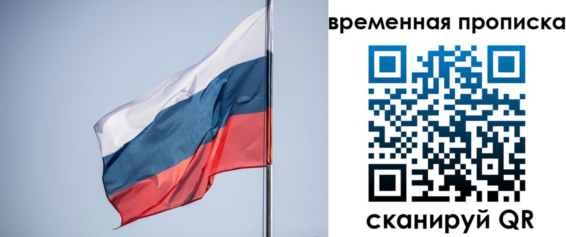 купить прописку в Лосино-Петровском